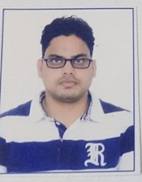 Alok K. Ray