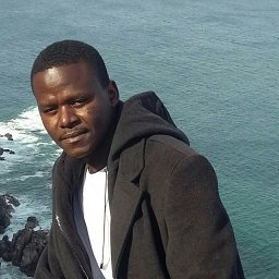 Abdulmajid A. Mirghni
