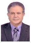 Hassan A. El-Gamal