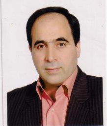 S. H. Mousavizadegan