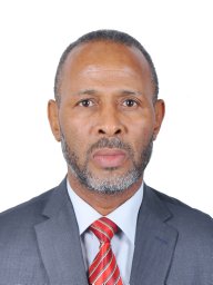 Mohamed Khalifa