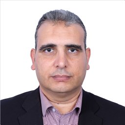 Mohamed F Shibl