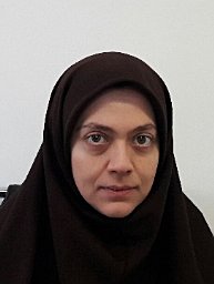 Maryam Selk Ghaffari