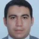 Mohamed A. E. AbdelRahman