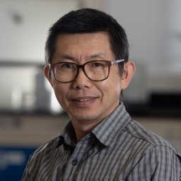 Yang Chen
