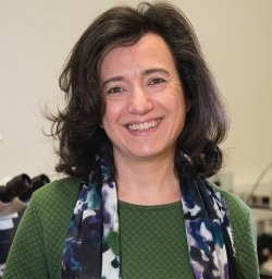 Claudia Pascoal