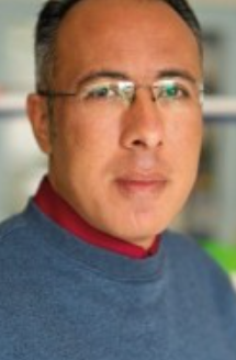 Ahmed M. Omer
