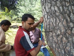 Nilendu Singh