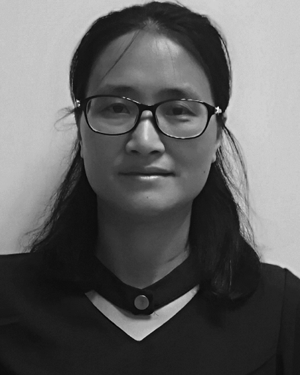 Dongling Li
