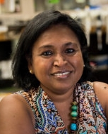 Rejji Kuruvilla