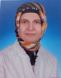 Ayhan Medine Giynas