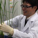 Takeshi Takamatsu