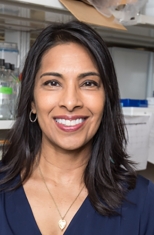 Sangeeta N. Bhatia
