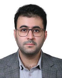 Seyed Ali Mousavi