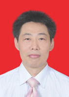 Qinhe Yang