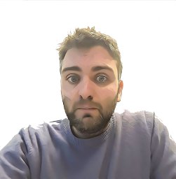 Sandro Bottaro