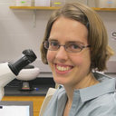 Priscilla M Van Wynsberghe