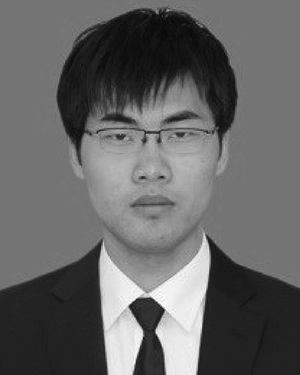Shengying Liu