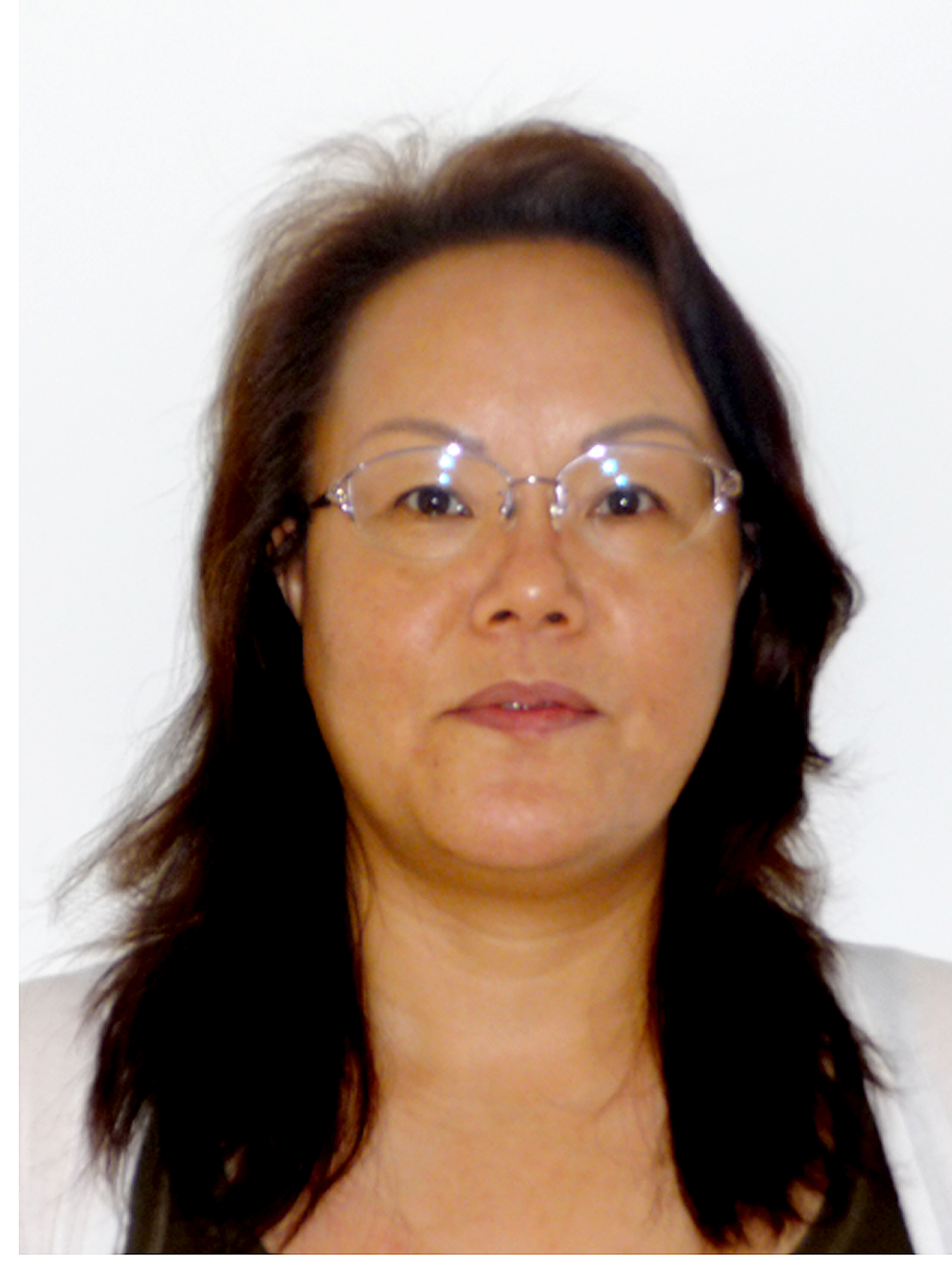 Liping Lei