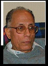 Nabil A. Hegazi
