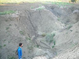 Carlos Castillo