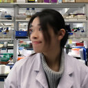 Yueying Zhang