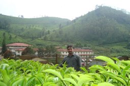 Srinivas Nandam