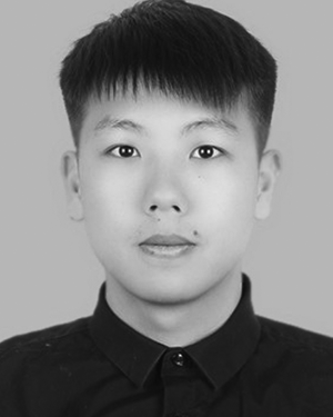Tieniu Wang