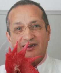 Hafez Mohamed Hafez