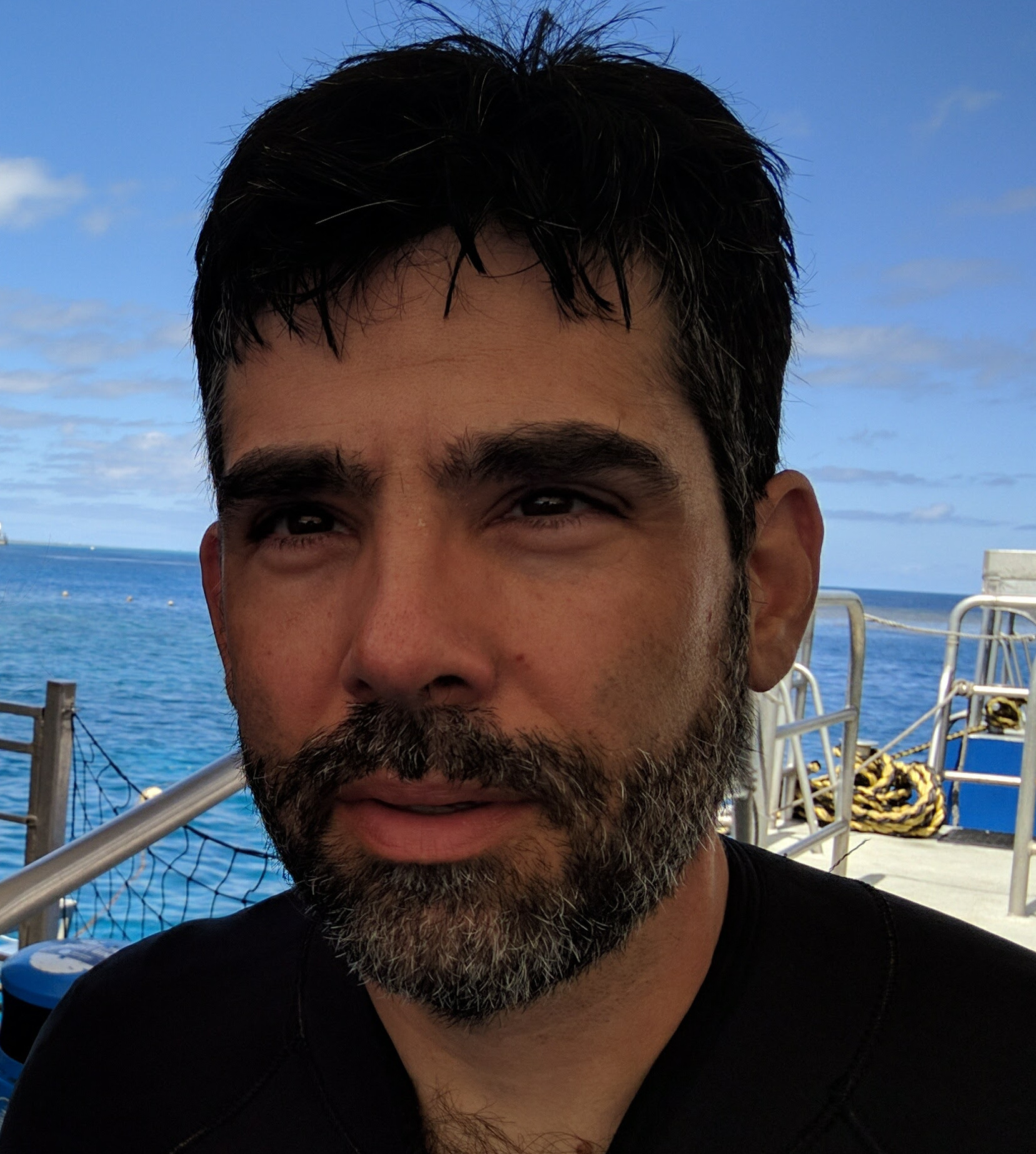 Paul Mineiro