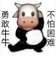 Hao Cao