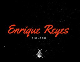 Enrique Reyes-Novelo