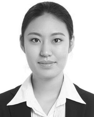 Yiping Li