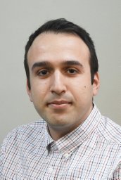 Mostafa Ameli