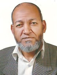 s. A. Mohammadein