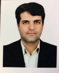 Hassan Zareei