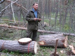 Timo Penttilä