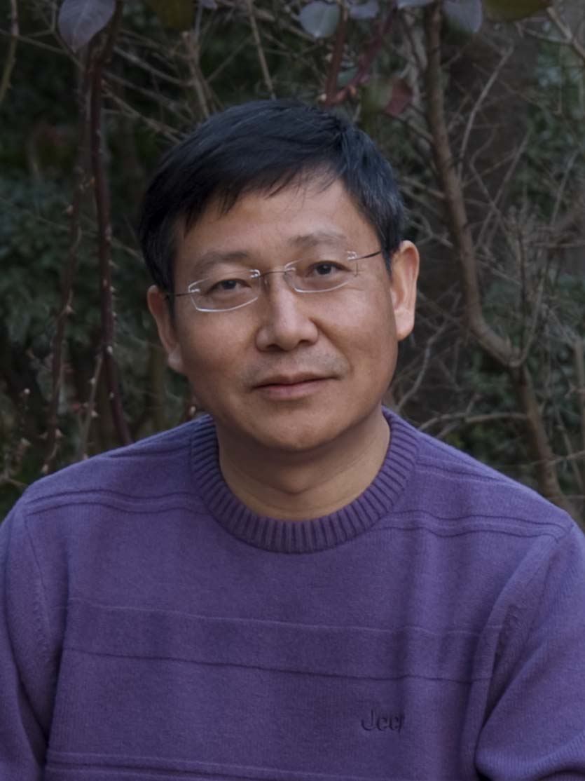 Xueliang Zhu
