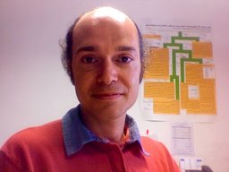 Saverio Vicario