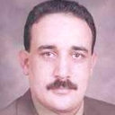 Alaa E. Ali