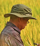 Zhenglin Yang