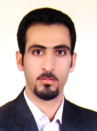 Mohammad H Fatehi