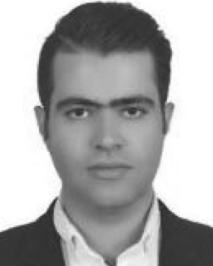 Amirhossein Mohammadian