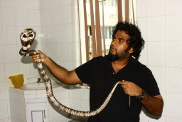 Dinal J S Samarasinghe