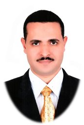Mohamed Mahmoud M Kandiel