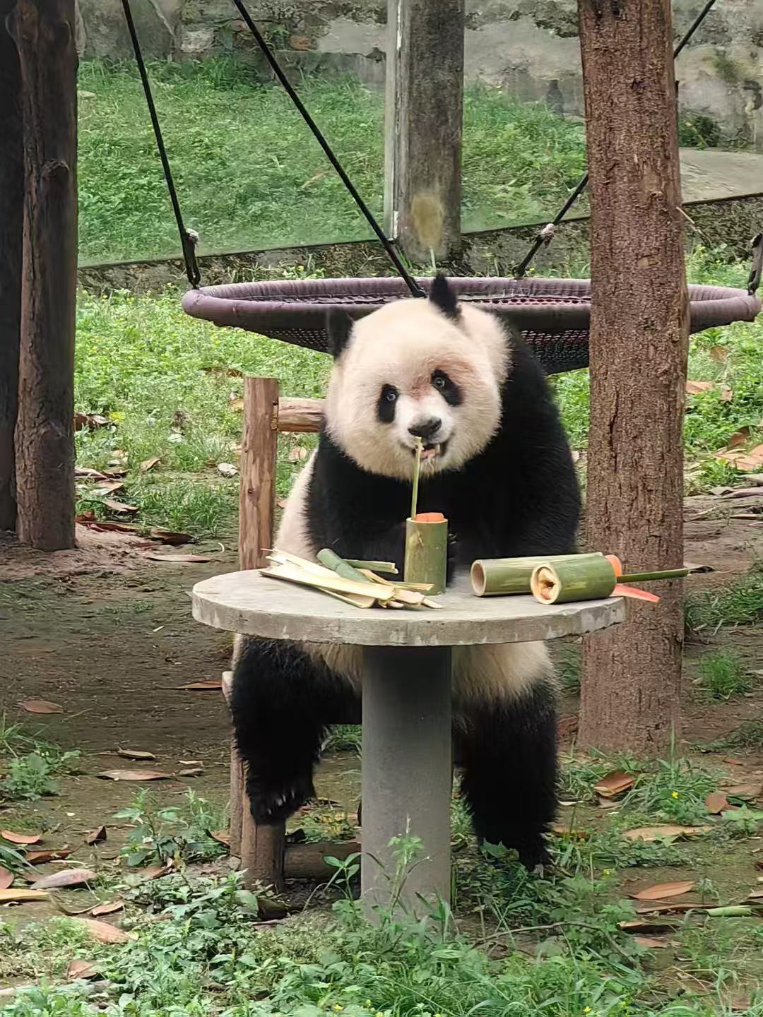Kong-Qiu Hu