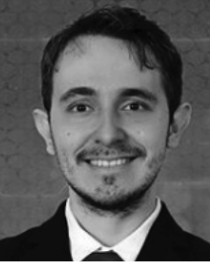 Vitor M F Santos