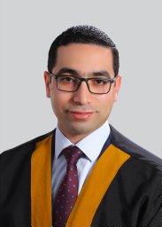 Mohammed S Alisi