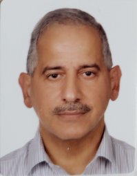 Hassan A. N. Hejase