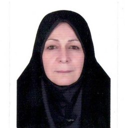 S. Heydarinejad